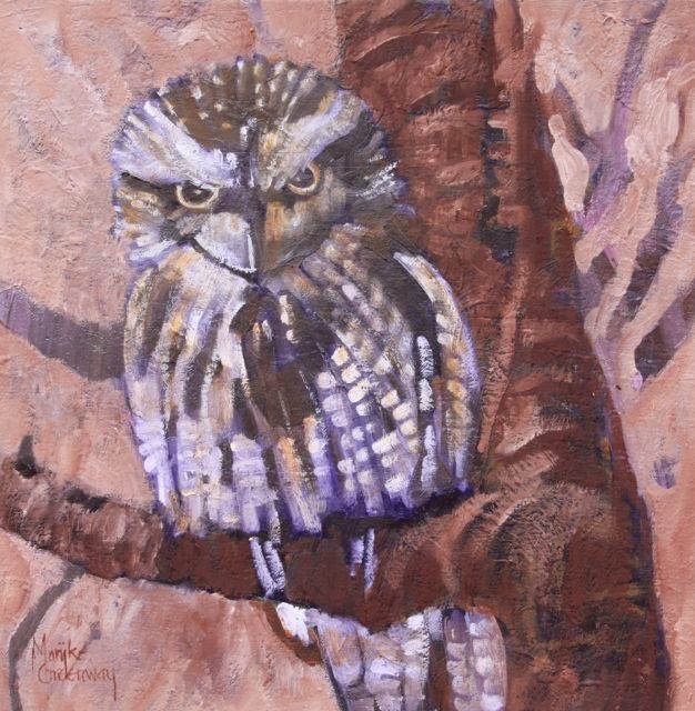 Tawny Frogmouth - oil <br> 34 x 34 $395