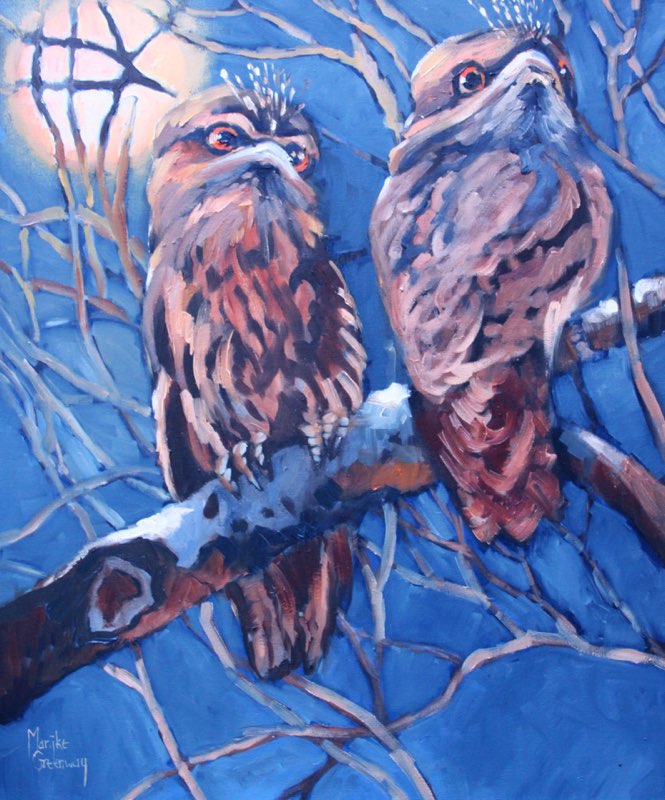 Tawny Frogmouths <br> oil 61 x 51 $695