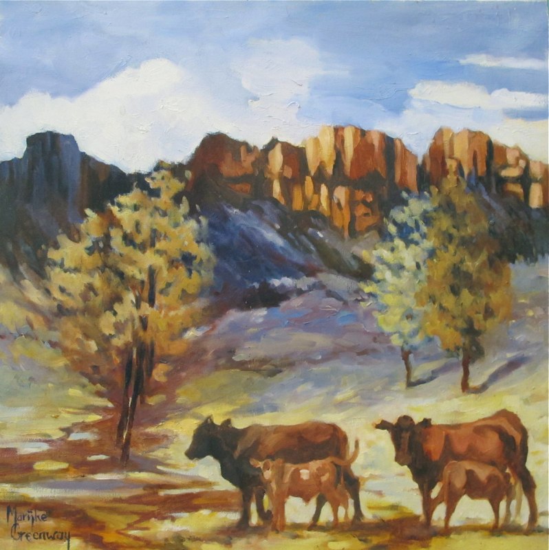 Cattle at Kandos <br> 53 x 53 oil $595