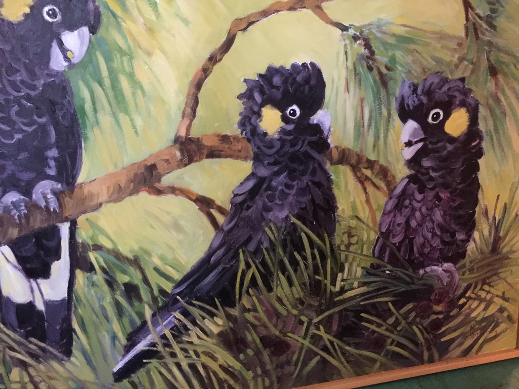 Black cockatoos<>60x90 $1200 oil