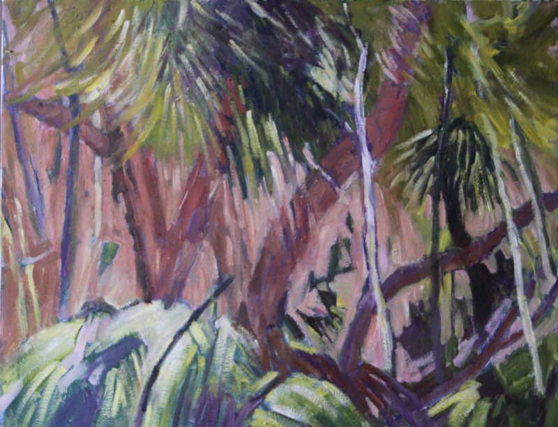 Native Forest <br>oil 53 x 66  $795